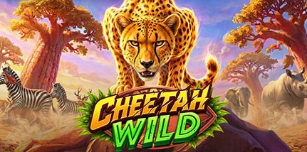 Cheetah Wild — slot Pragmatic Play temática safari y guepardo